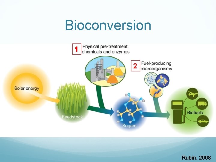 Bioconversion 1 2 Rubin, 2008 
