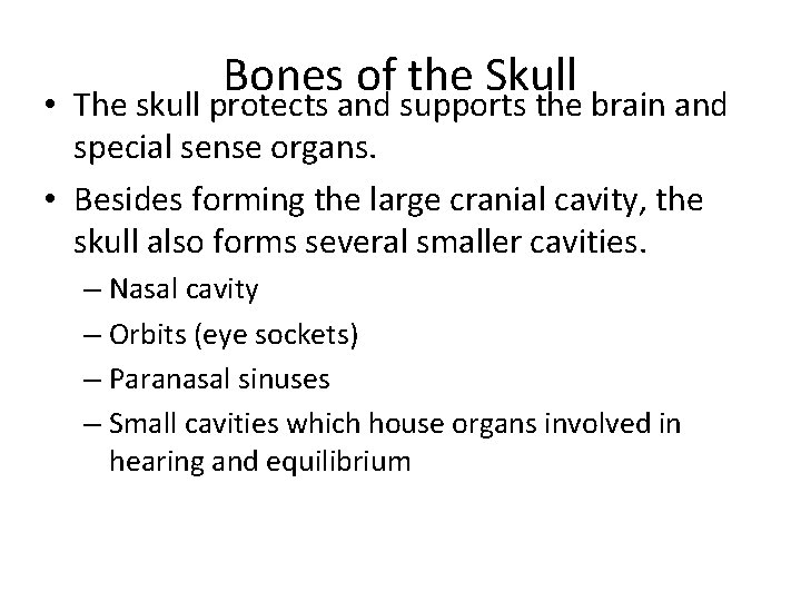 Bones of the Skull • The skull protects and supports the brain and special