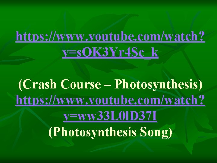 https: //www. youtube. com/watch? v=s. QK 3 Yr 4 Sc_k (Crash Course – Photosynthesis)