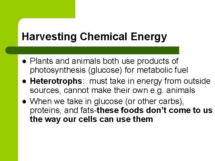Harvesting Chemical Energy l l l Plants and animals both use products of photosynthesis