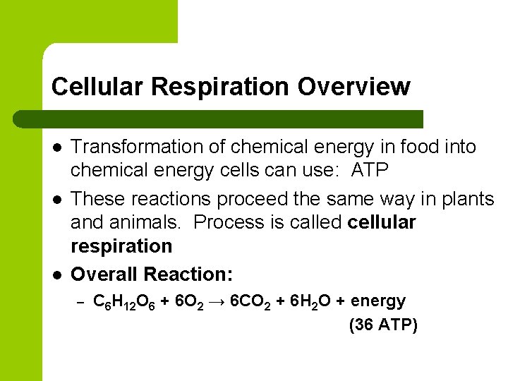 Cellular Respiration Overview l l l Transformation of chemical energy in food into chemical