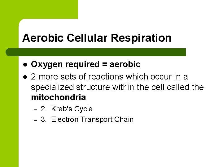 Aerobic Cellular Respiration l l Oxygen required = aerobic 2 more sets of reactions