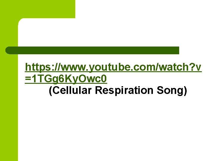 https: //www. youtube. com/watch? v =1 TGg 6 Ky. Owc 0 (Cellular Respiration Song)