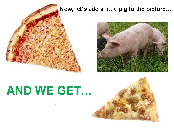 Now, let’s add a little pig to the picture… AND WE GET…  Now, let’s add a little pig to the picture… AND WE GET…