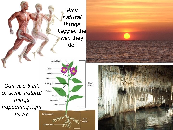 Why natural things happen the way they do! Can you think of some natural Why natural things happen the way they do! Can you think of some natural