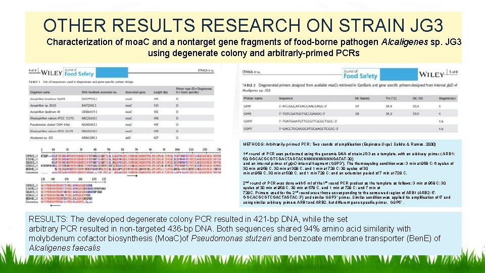 OTHER RESULTS RESEARCH ON STRAIN JG 3 Characterization of moa. C and a nontarget