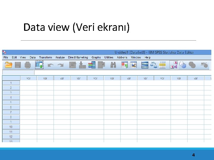 Data view (Veri ekranı) 4 