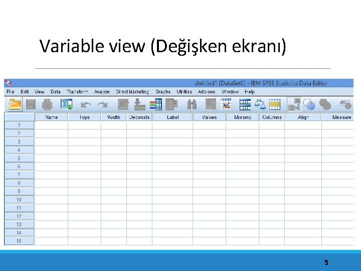 Variable view (Değişken ekranı) 5 