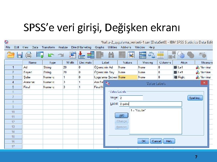 SPSS’e veri girişi, Değişken ekranı 7 