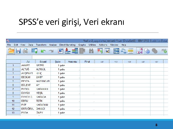 SPSS’e veri girişi, Veri ekranı 8 