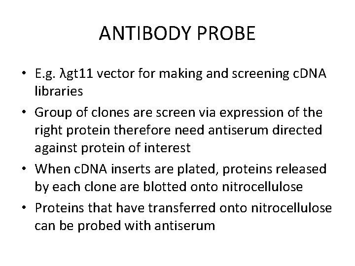 ANTIBODY PROBE • E. g. λgt 11 vector for making and screening c. DNA