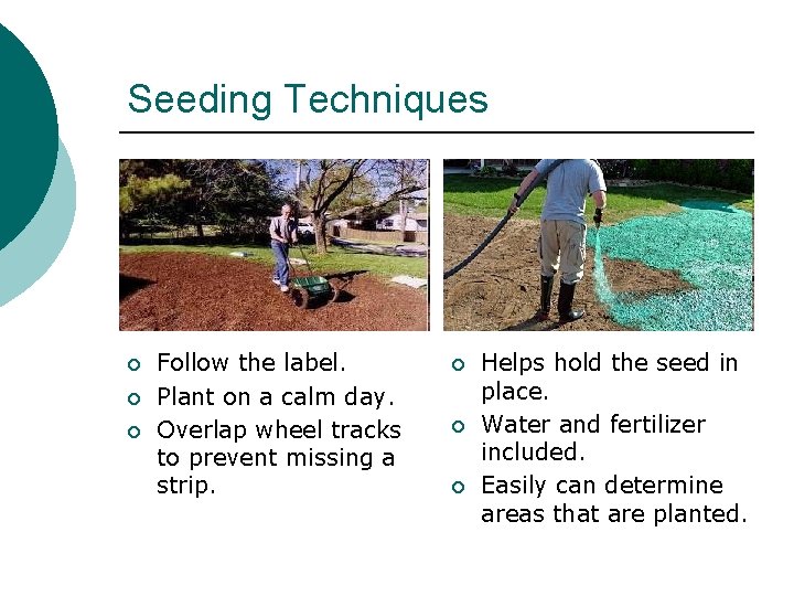 Seeding Techniques ¡ ¡ ¡ Follow the label. Plant on a calm day. Overlap