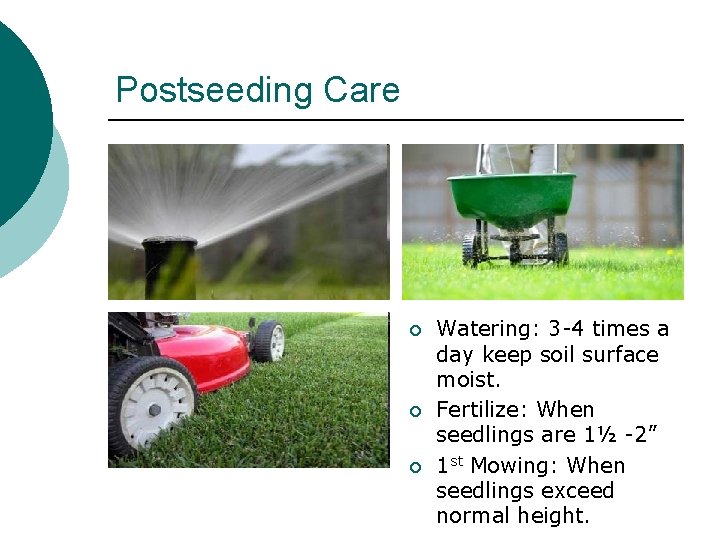 Postseeding Care ¡ ¡ ¡ Watering: 3 -4 times a day keep soil surface