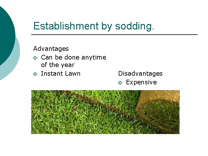 Establishment by sodding. Advantages ¡ Can be done anytime of the year ¡ Instant
