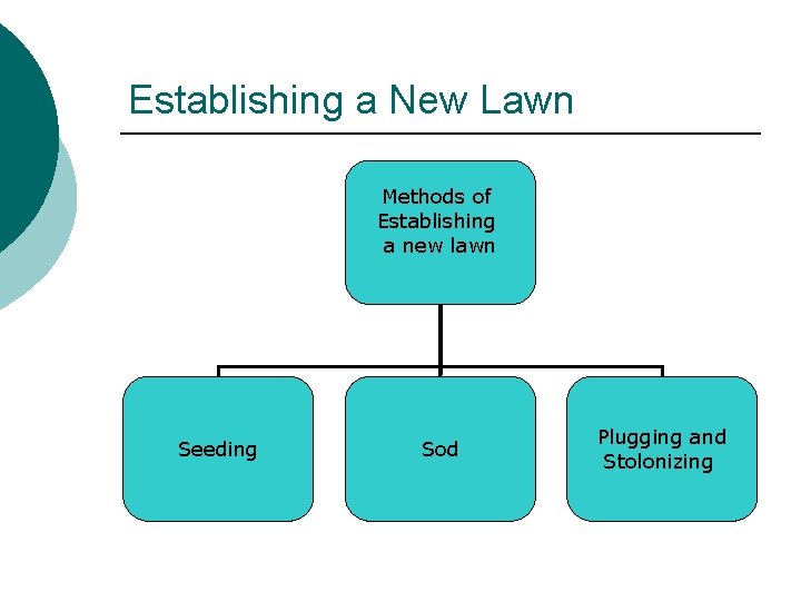 Establishing a New Lawn Methods of Establishing a new lawn Seeding Sod Plugging and
