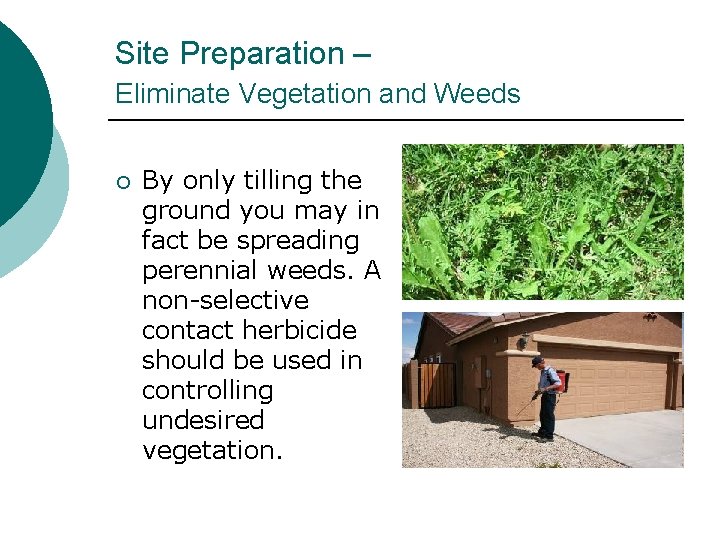 Site Preparation – Eliminate Vegetation and Weeds ¡ By only tilling the ground you
