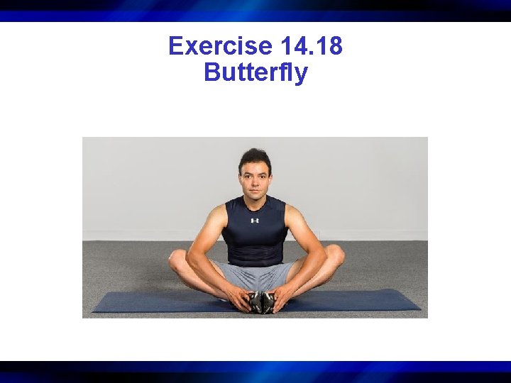Exercise 14. 18 Butterfly 