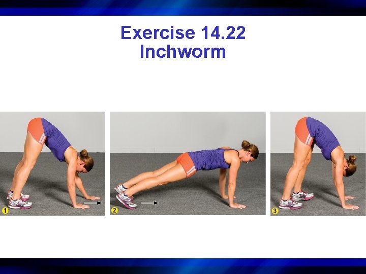 Exercise 14. 22 Inchworm 