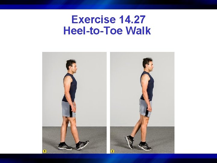 Exercise 14. 27 Heel-to-Toe Walk 