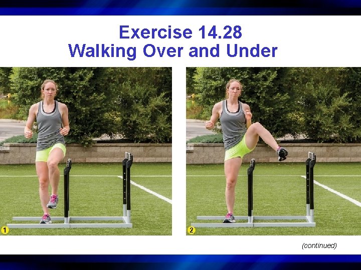 Exercise 14. 28 Walking Over and Under (continued) 