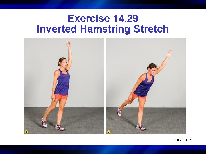 Exercise 14. 29 Inverted Hamstring Stretch (continued) 