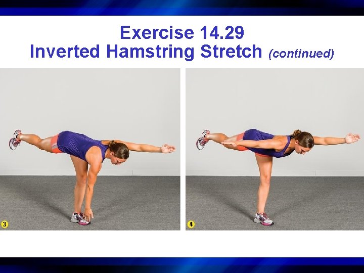 Exercise 14. 29 Inverted Hamstring Stretch (continued) 