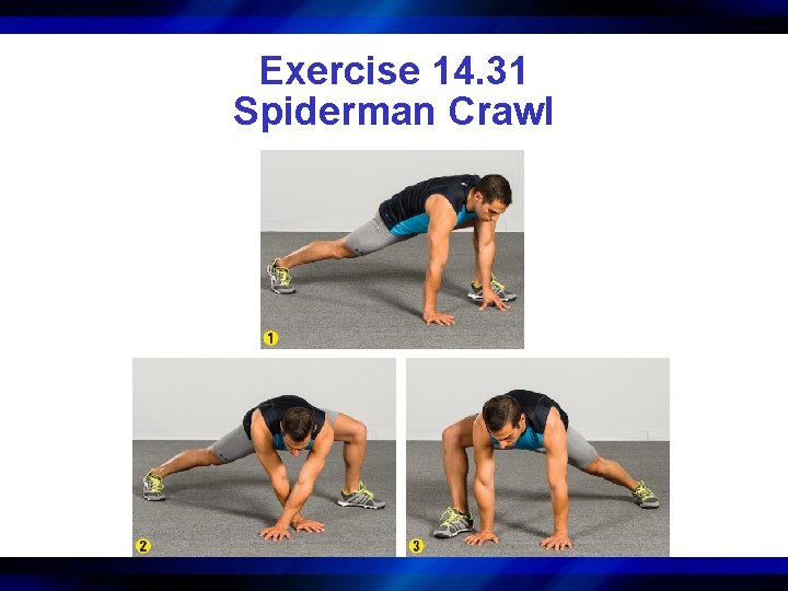 Exercise 14. 31 Spiderman Crawl 