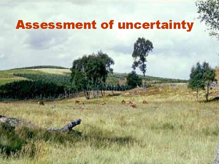 Assessment of uncertainty 