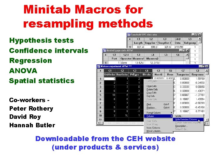 Minitab Macros for resampling methods Hypothesis tests Confidence intervals Regression ANOVA Spatial statistics Co-workers