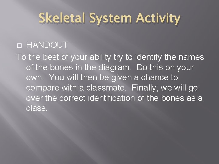 Skeletal System Activity HANDOUT To the best of your ability try to identify the
