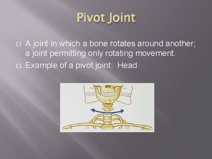Pivot Joint � � A joint in which a bone rotates around another; a