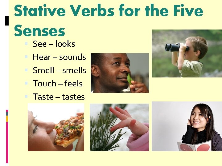 Stative Verbs for the Five Senses See – looks Hear – sounds Smell –