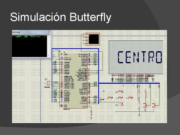 Simulación Butterfly 
