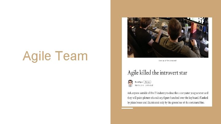 Agile Team 