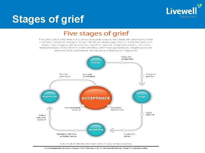 Stages of grief 
