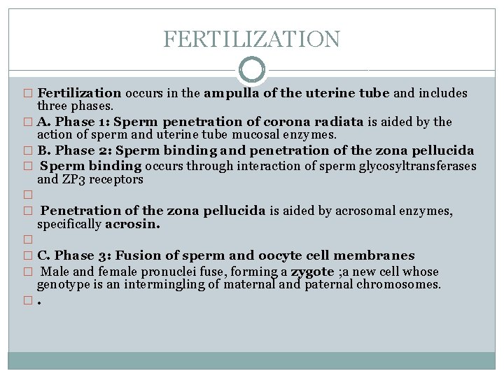 FERTILIZATION � Fertilization occurs in the ampulla of the uterine tube and includes three