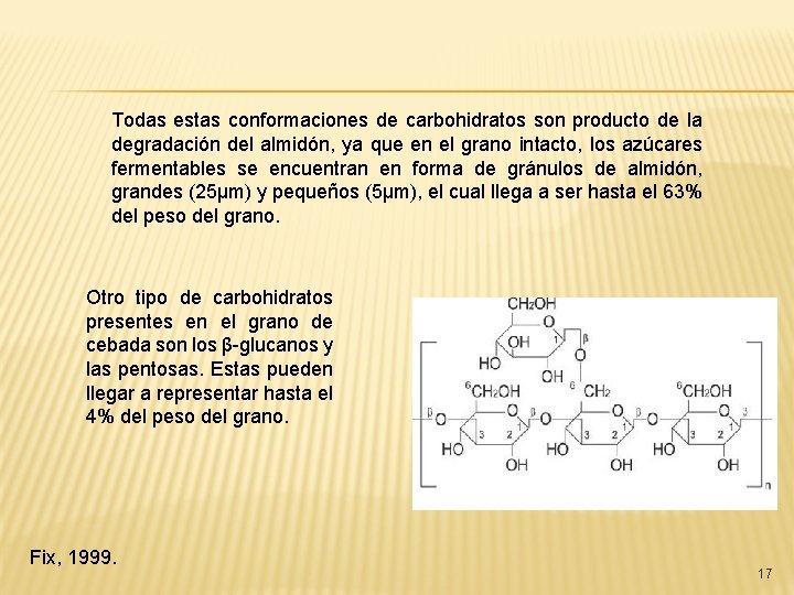 Todas estas conformaciones de carbohidratos son producto de la degradación del almidón, ya que