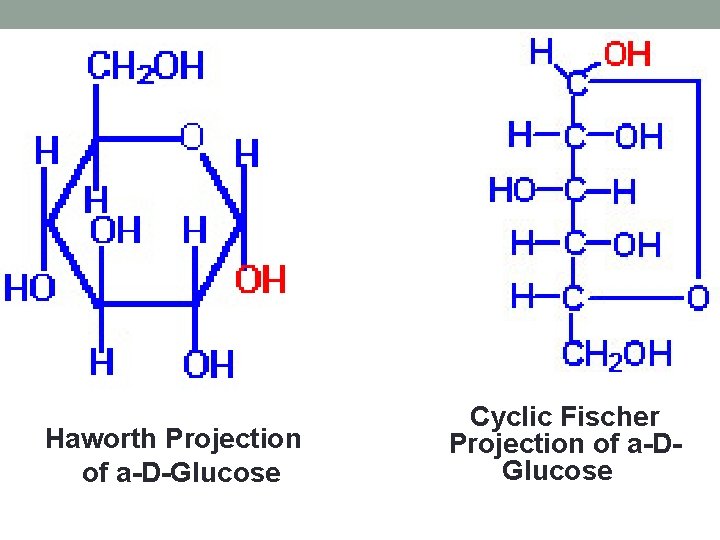 Haworth Projection of a-D-Glucose Cyclic Fischer Projection of a-DGlucose 