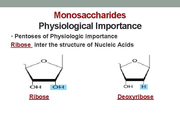 Monosaccharides Physiological Importance § Pentoses of Physiologic importance Ribose inter the structure of Nucleic