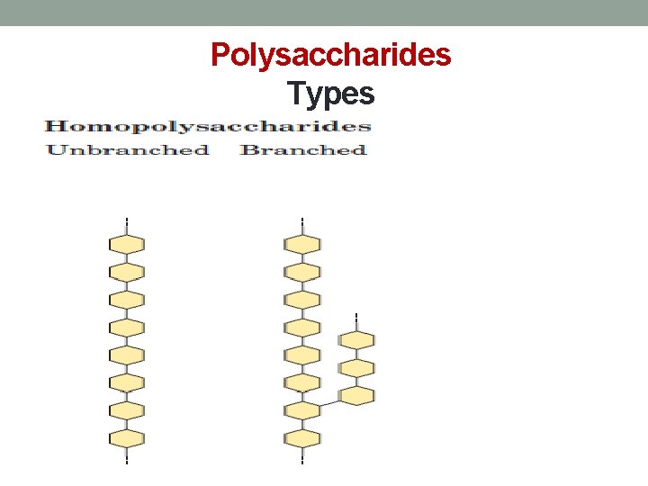 Polysaccharides Types 