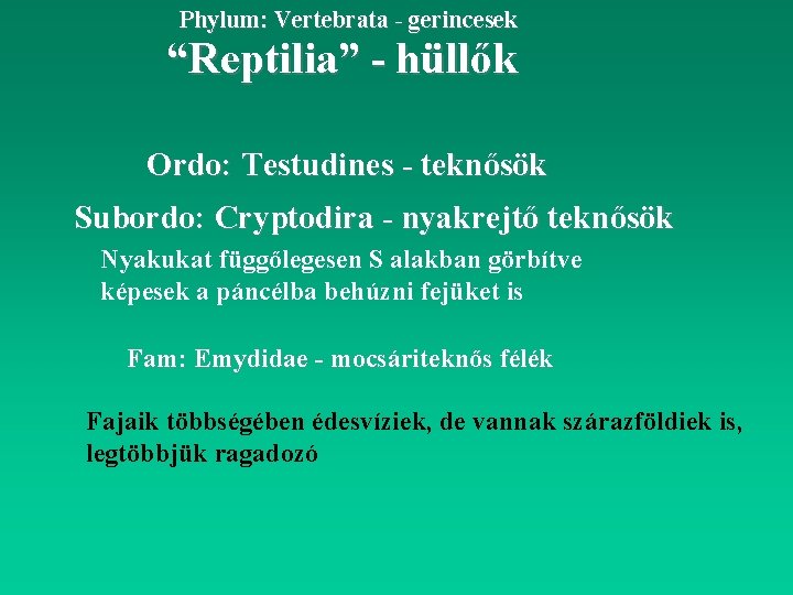 Phylum: Vertebrata - gerincesek “Reptilia” - hüllők Ordo: Testudines - teknősök Subordo: Cryptodira -