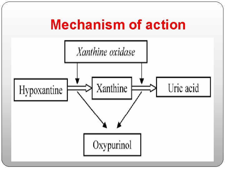 Mechanism of action 