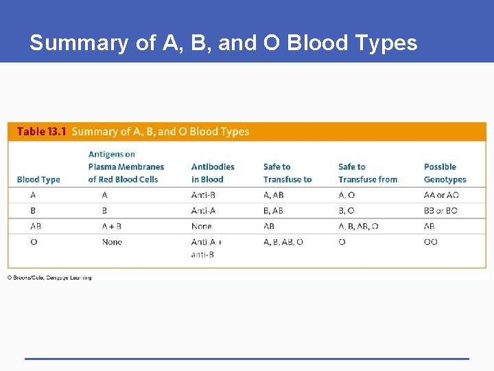 Summary of A, B, and O Blood Types 