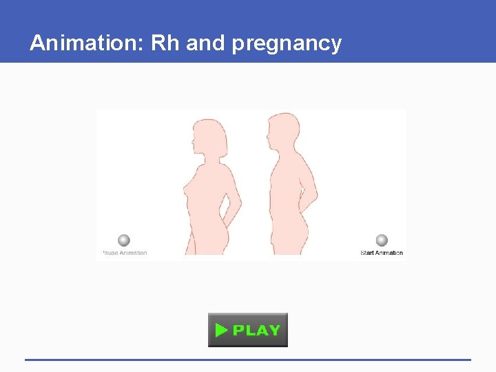 Animation: Rh and pregnancy 