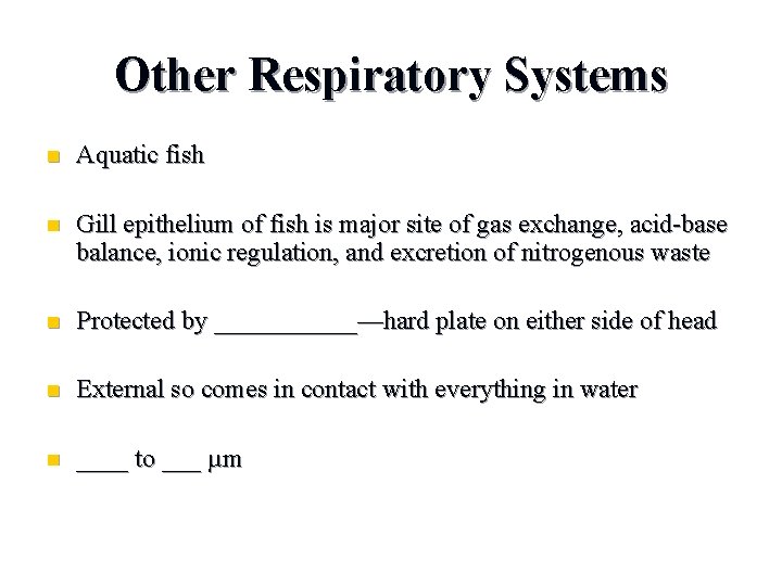 Other Respiratory Systems n Aquatic fish n Gill epithelium of fish is major site