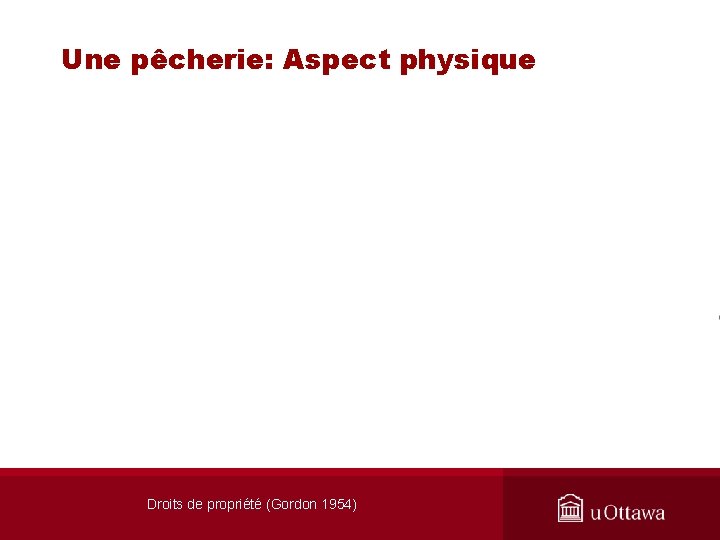 Une pêcherie: Aspect physique Droits de propriété (Gordon 1954) 