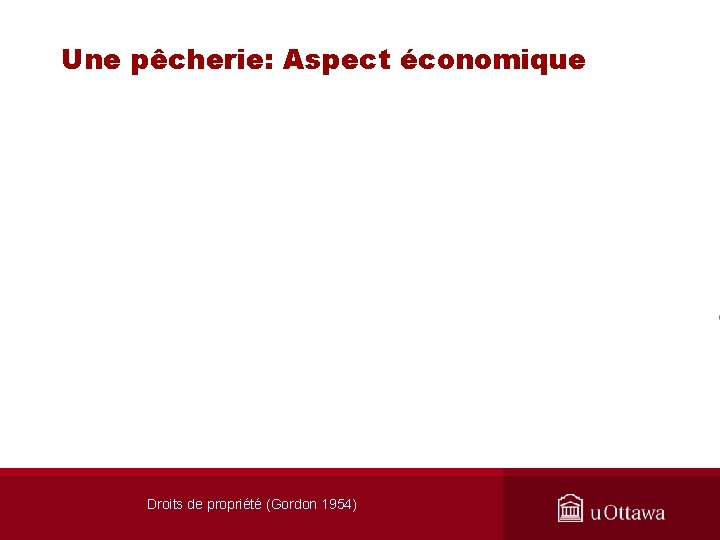 Une pêcherie: Aspect économique Droits de propriété (Gordon 1954) 