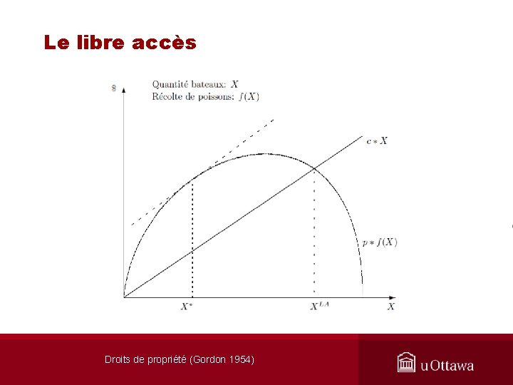 Le libre accès Droits de propriété (Gordon 1954) 