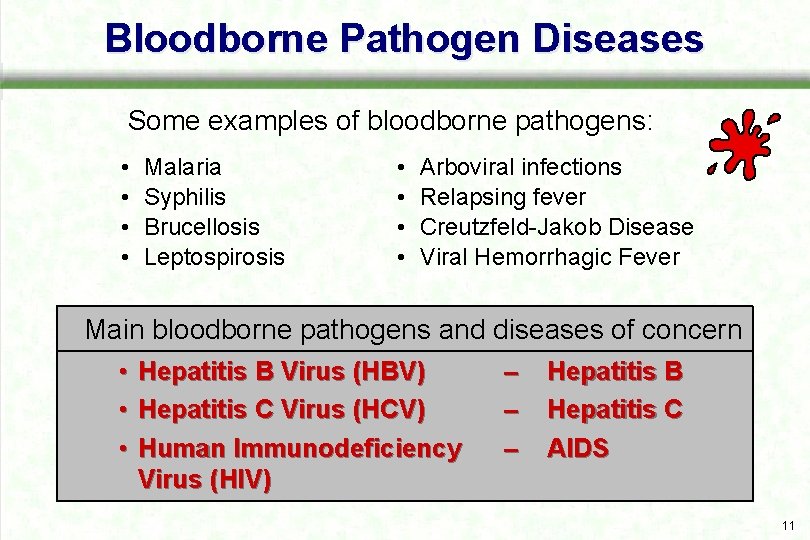 Bloodborne Pathogen Diseases Some examples of bloodborne pathogens: • • Malaria Syphilis Brucellosis Leptospirosis