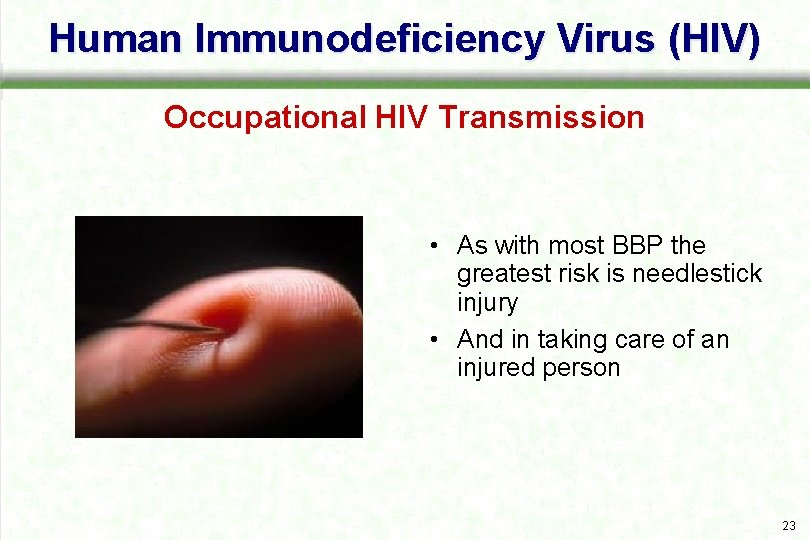 Human Immunodeficiency Virus (HIV) Occupational HIV Transmission • As with most BBP the greatest